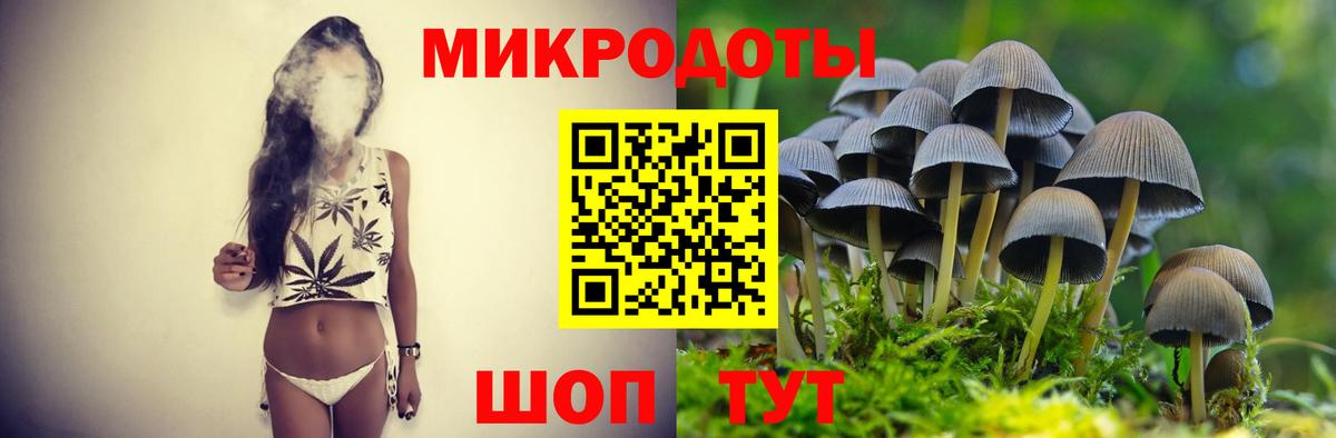 Псилоцибиновые грибы Psilocybe  Вход с VPN  Зеленодольск  Псилоцибиновые грибы ЛСД 